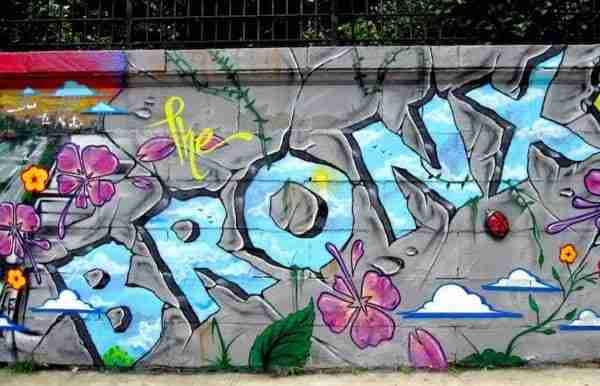 Bronx: cosa vedere, come arrivare e la sicurezza
