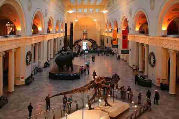 Museo di storia naturale a New York: cosa vedere e i biglietti per visitarlo