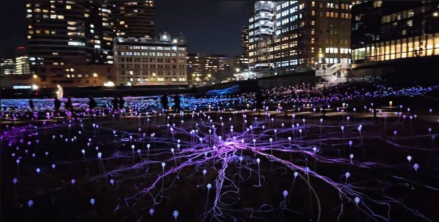 Field of Lights a New York