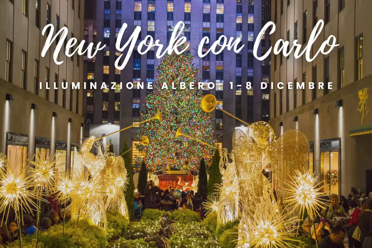 Viaggio organizzato New York con Carlo illuminazione albero