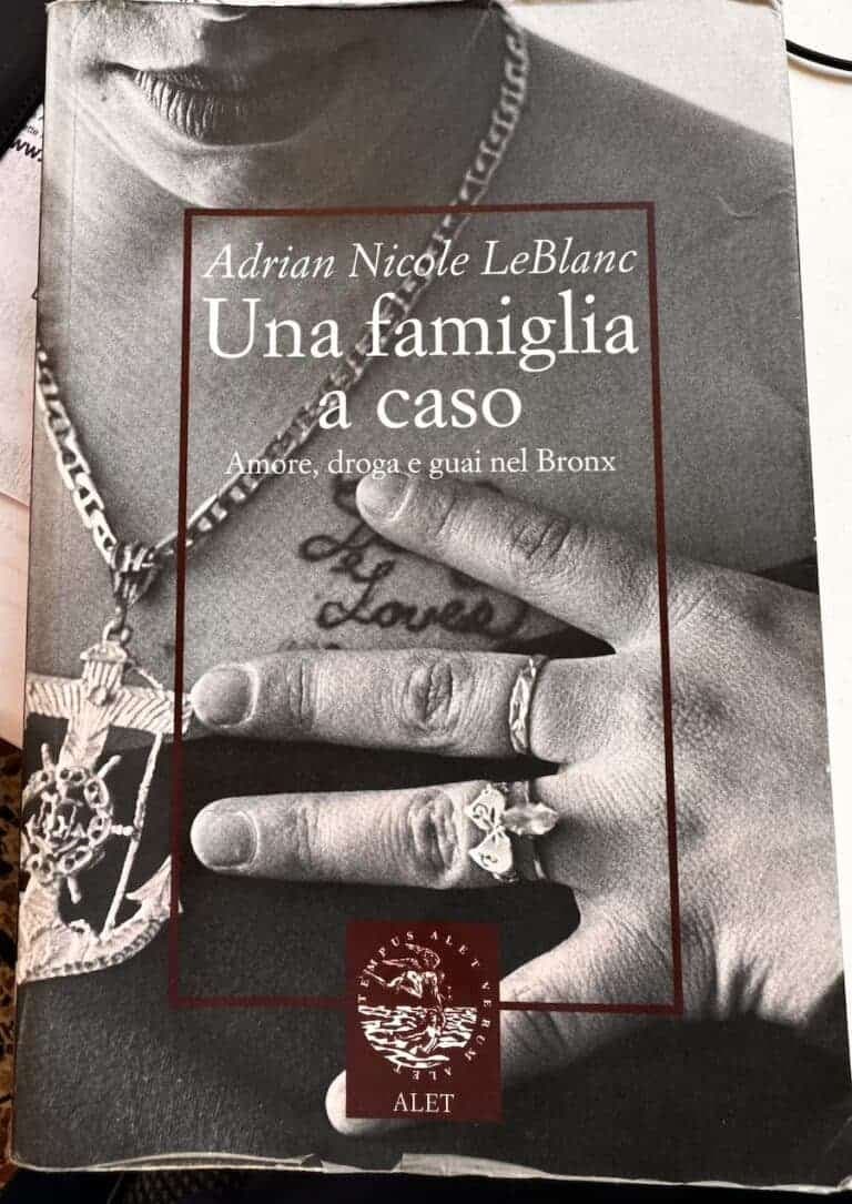 Una famiglia a caso. Amore, droga e guai nel Bronx
