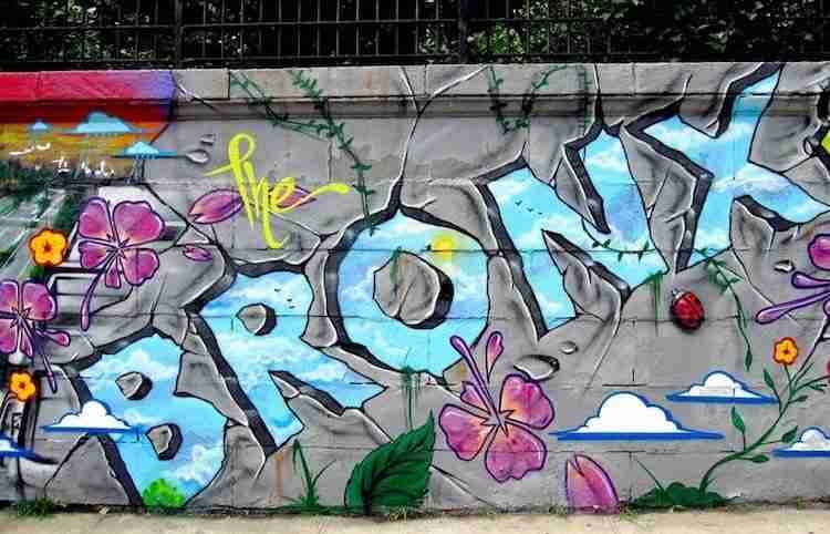 Bronx: cosa vedere, come arrivare e la sicurezza