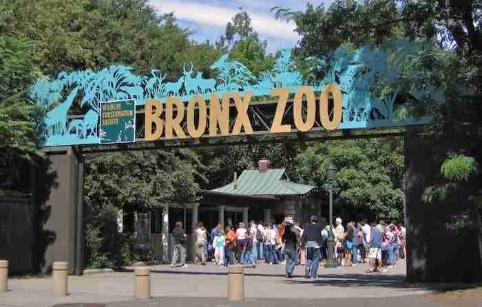 Bronx Zoo: come arrivare, biglietti per entrare