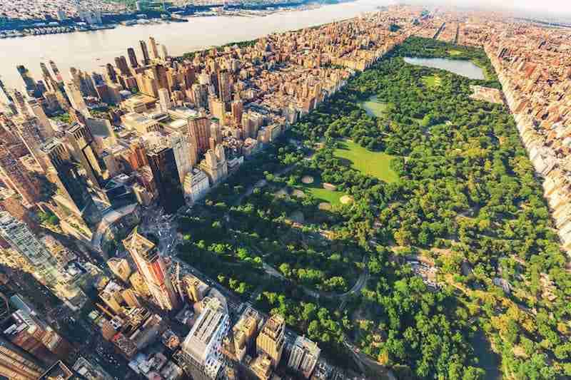 Parchi di New York: guida ai polmoni verdi della Grande Mela