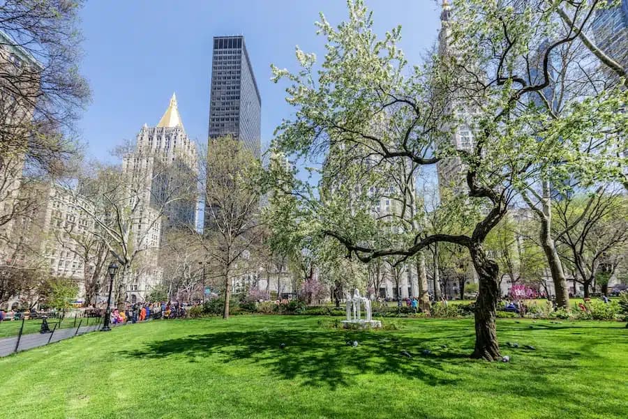 Madison Square Park: cosa fare nel parco, dove mangiare e hotel vicini
