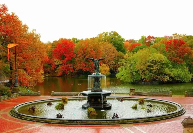 New York in autunno
