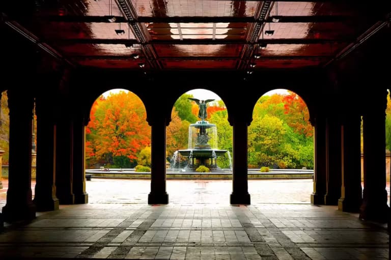 Tour Midtown e Uptown Manhattan in italiano