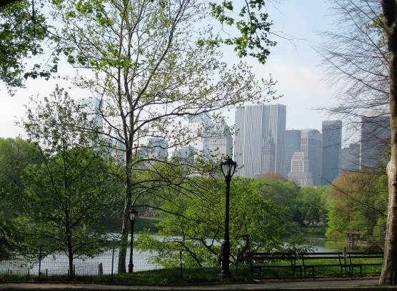 Central Park, New York