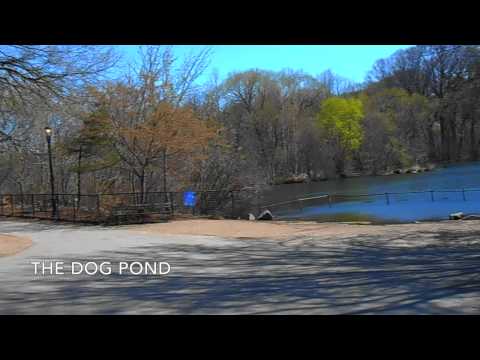 Walking Tour Prospect Park
