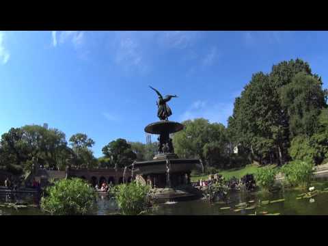 Central Park: alla scoperta delle cose da vedere