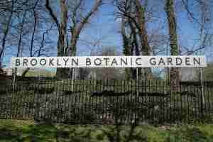 Il Brooklyn Botanic Garden