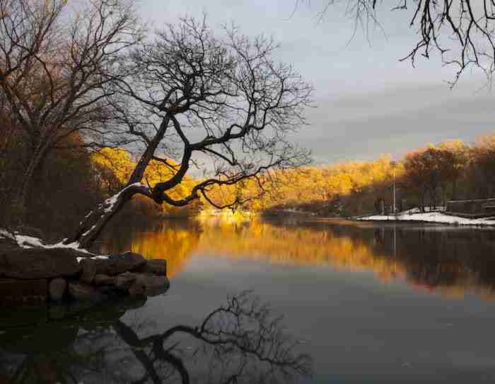 Van Cortland Park nel Bronx