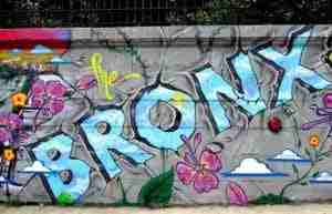 Cosa vedere nel Bronx