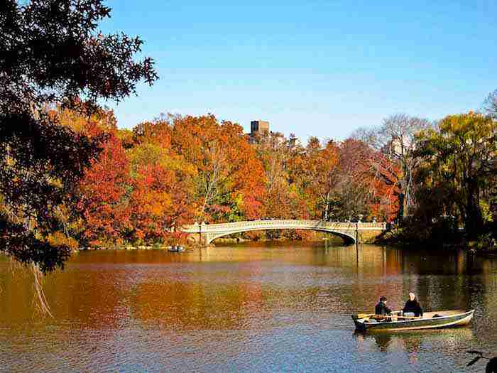 Central Park