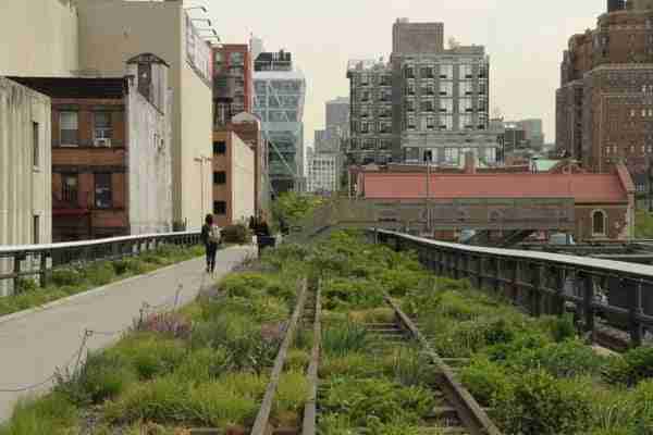 Passeggiata nella High Line, New York