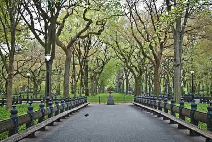 The Mall, Central Park