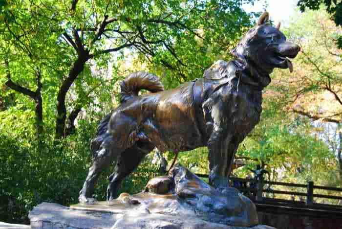 La Statua di Balto a Central Park