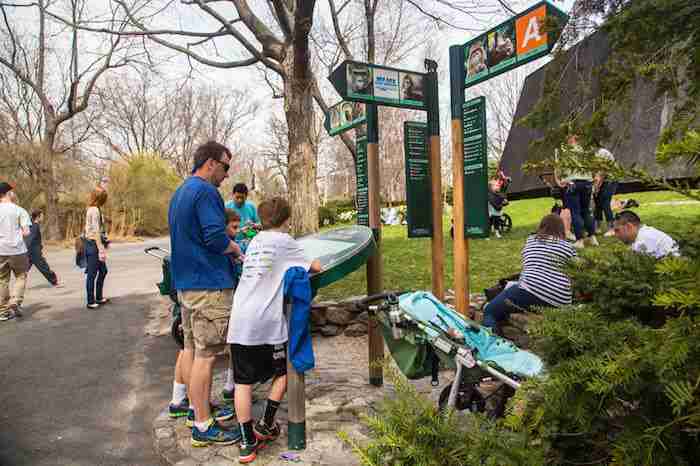 All'interno dello zoo del Bronx