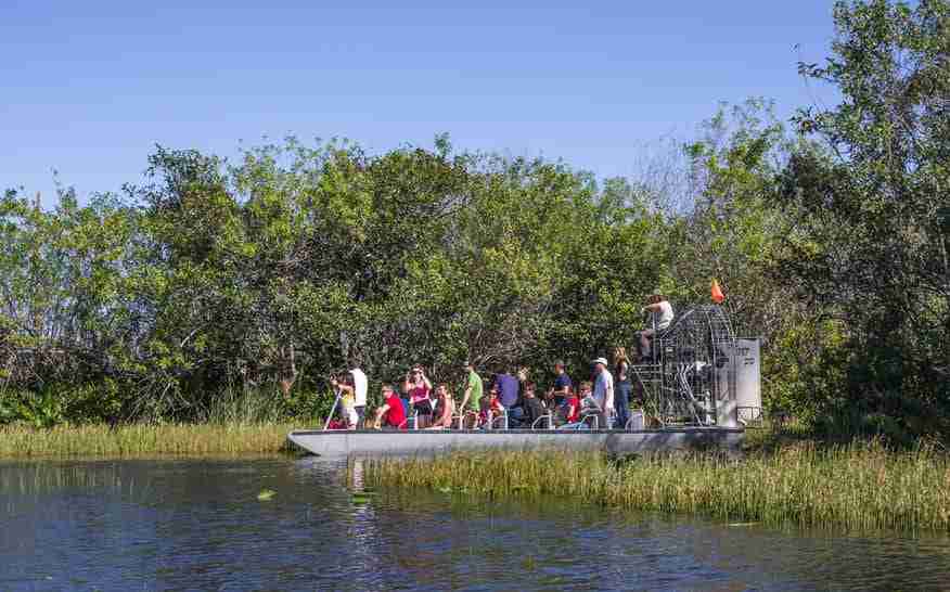 Everglades, Miami