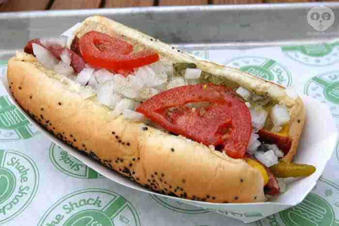 Shake Shack, New York