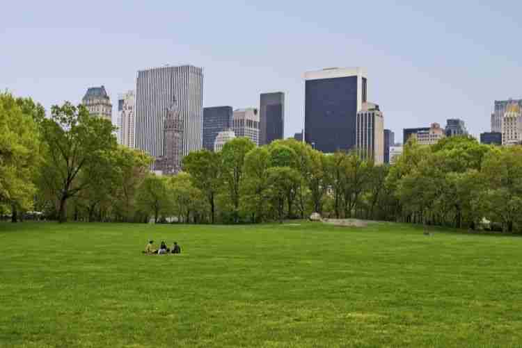 Vista da Sheep Meadow a Central Park