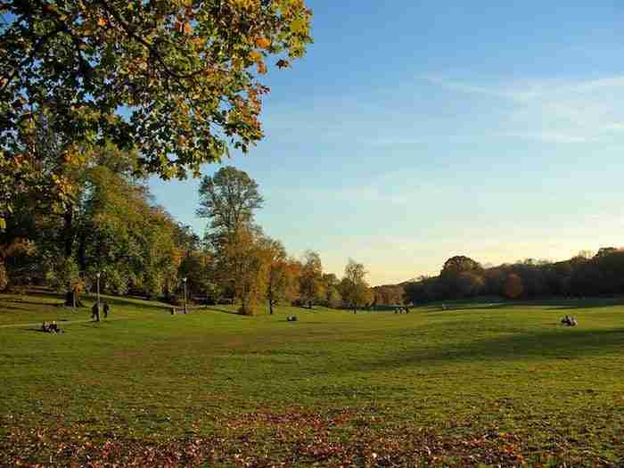 Long Meadow, Prospect Park