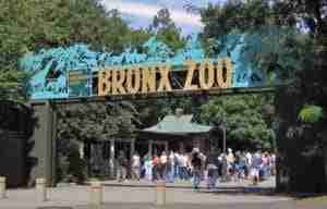 Entrata dello zoo del Bronx