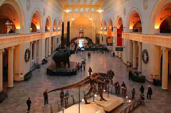 Museo di storia naturale di New York