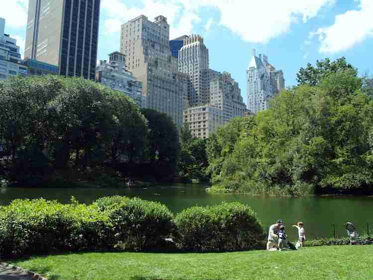 Tour Uptown Manhattan in italiano