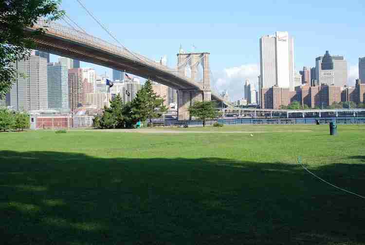 Tour di Brooklyn in italiano