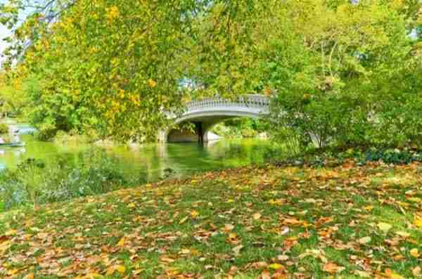 Bow Bridge, una delle zone più romantiche del parco