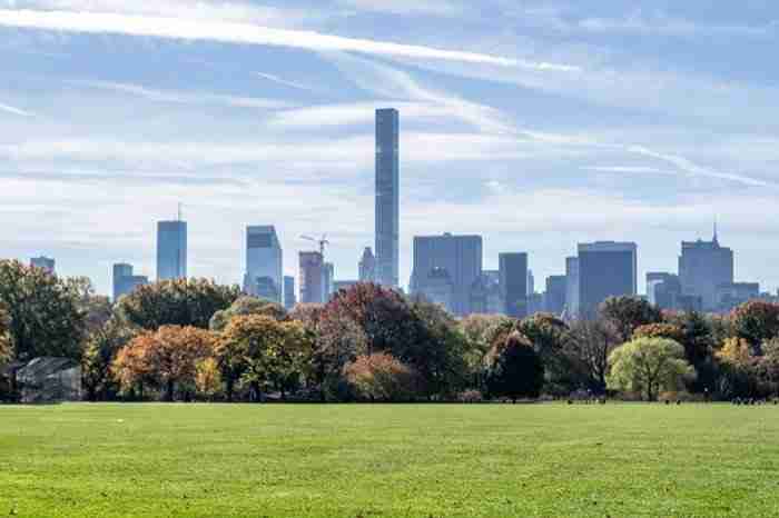 Great Lawn, Central Park