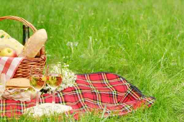 Picnic a Central Park