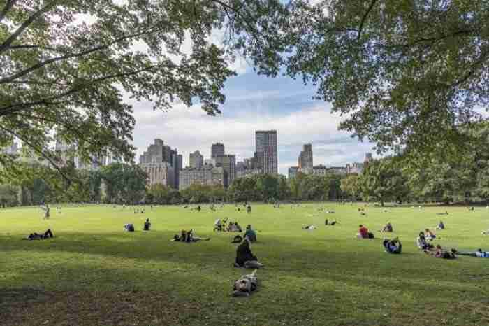 Sheep Meadow, Central Park