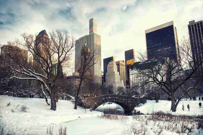 central park con la neve