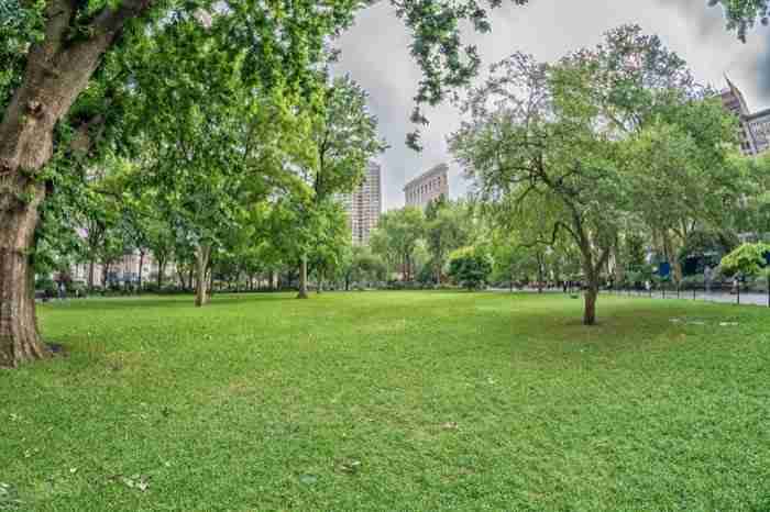 madison square park