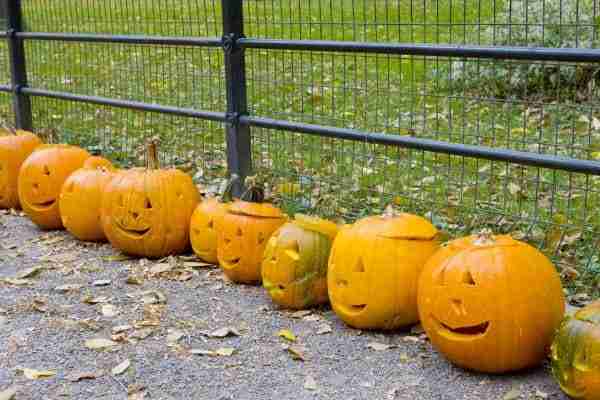 Halloween a Central Park