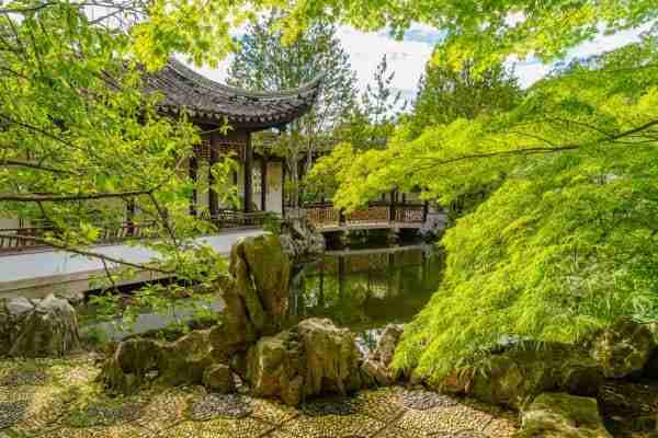 New York Chinese Scholar's Garden