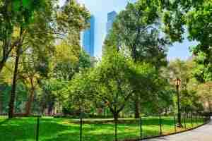 Madison Square Park