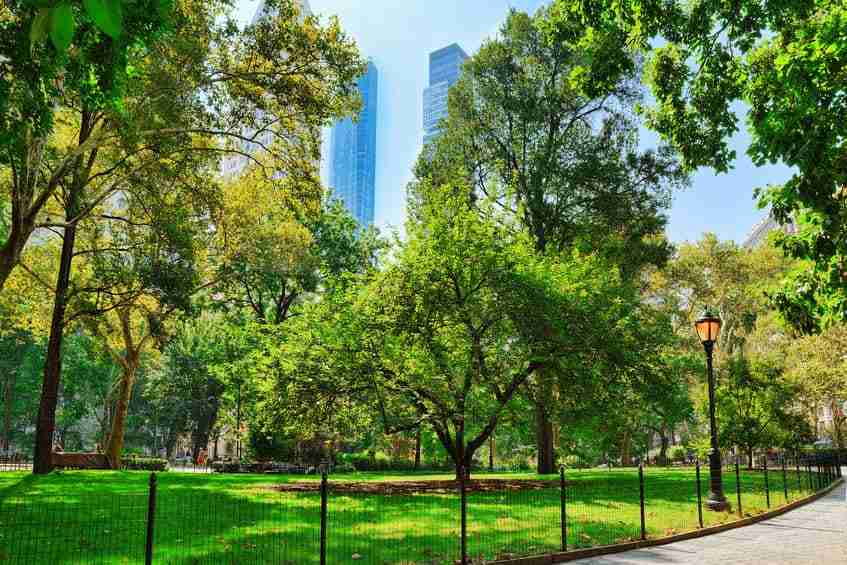 Madison Square Park