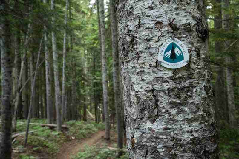 Pacific Crest Trail Marker in Oregon