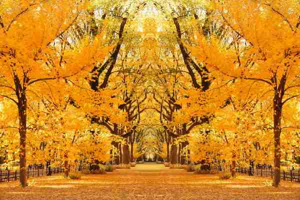 Eventi di New York in autunno