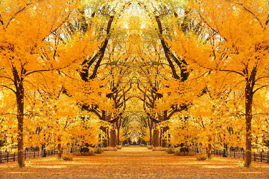 Eventi di New York in autunno