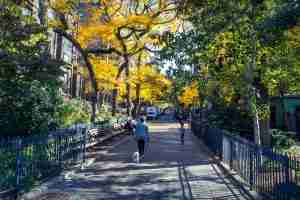 Cosa vedere a Brooklyn Heights