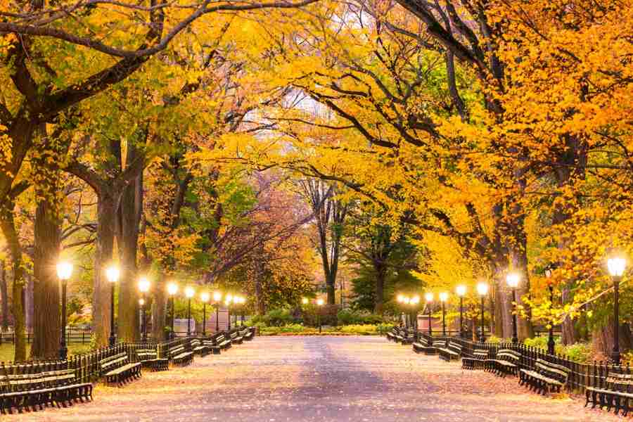 La bellissima camminata lungo The Mall a Central Park.