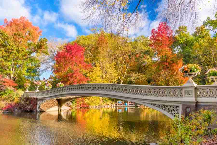 Il Bow Bridge è il ponte più bello di Central Park, qui con i colori autunnali