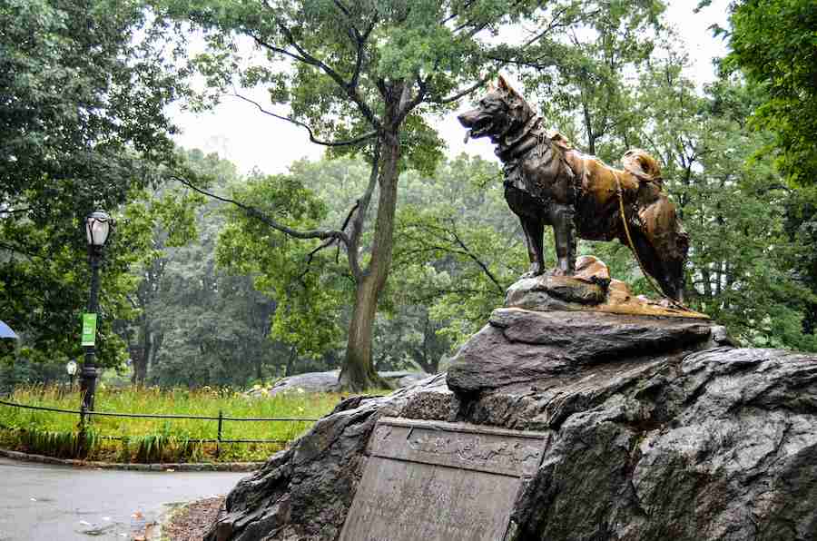 Una delle cose da vedere a Central Park è la Statua di Balto