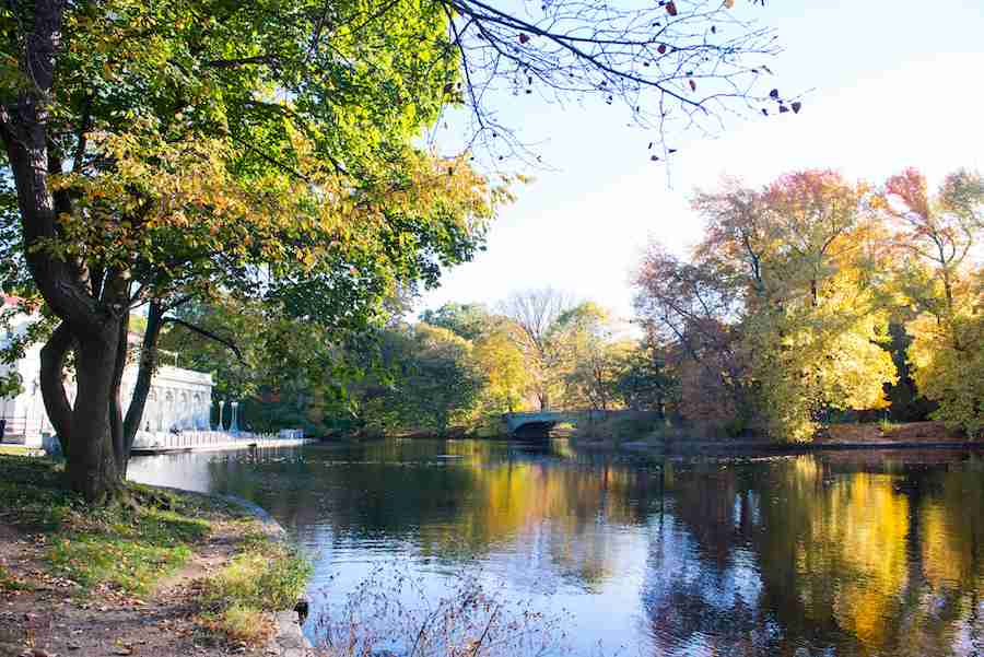 Il bellissimo lago di Prospect Park, Brooklyn