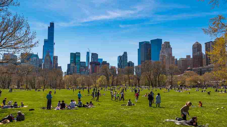 Picnic a Central Park