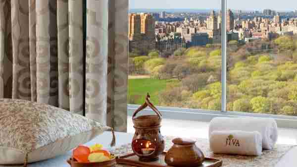 The Pierre, A Taj Hotel, New York hotel con vista